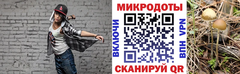mega   маркетплейс Telegram  Псилоцибиновые грибы Psilocybe  Астрахань 