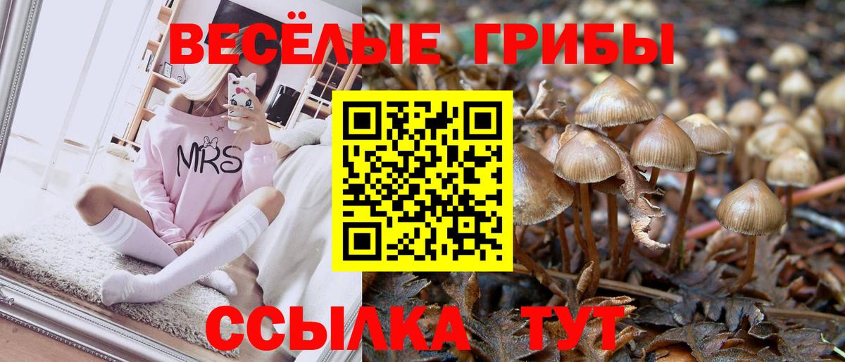 Галлюциногенные грибы MAGIC MUSHROOMS Астрахань