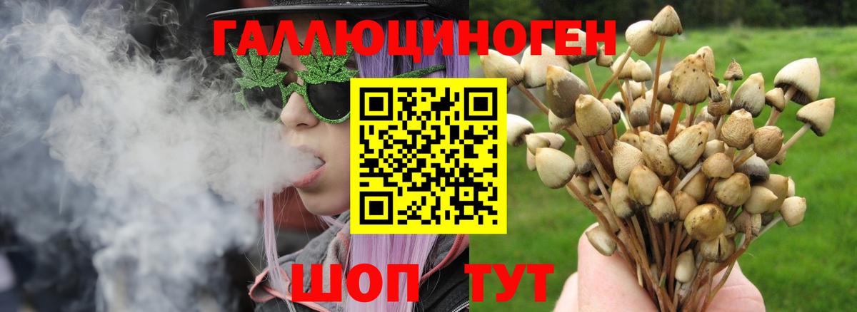 Галлюциногенные грибы Psilocybine cubensis  Псилоцибиновые грибы мухоморы  Вход с VPN  Астрахань 